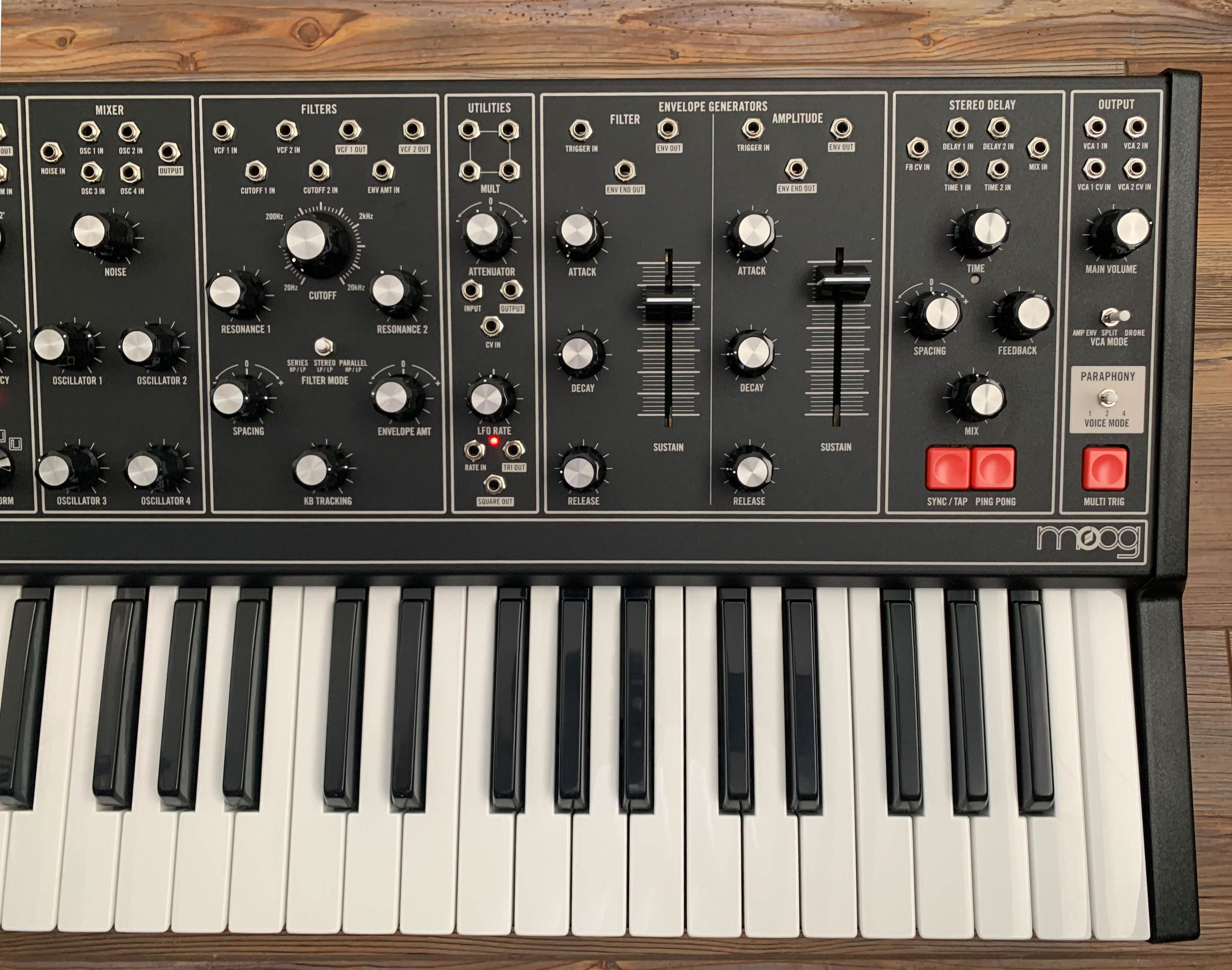 Moog Matriarch Dark