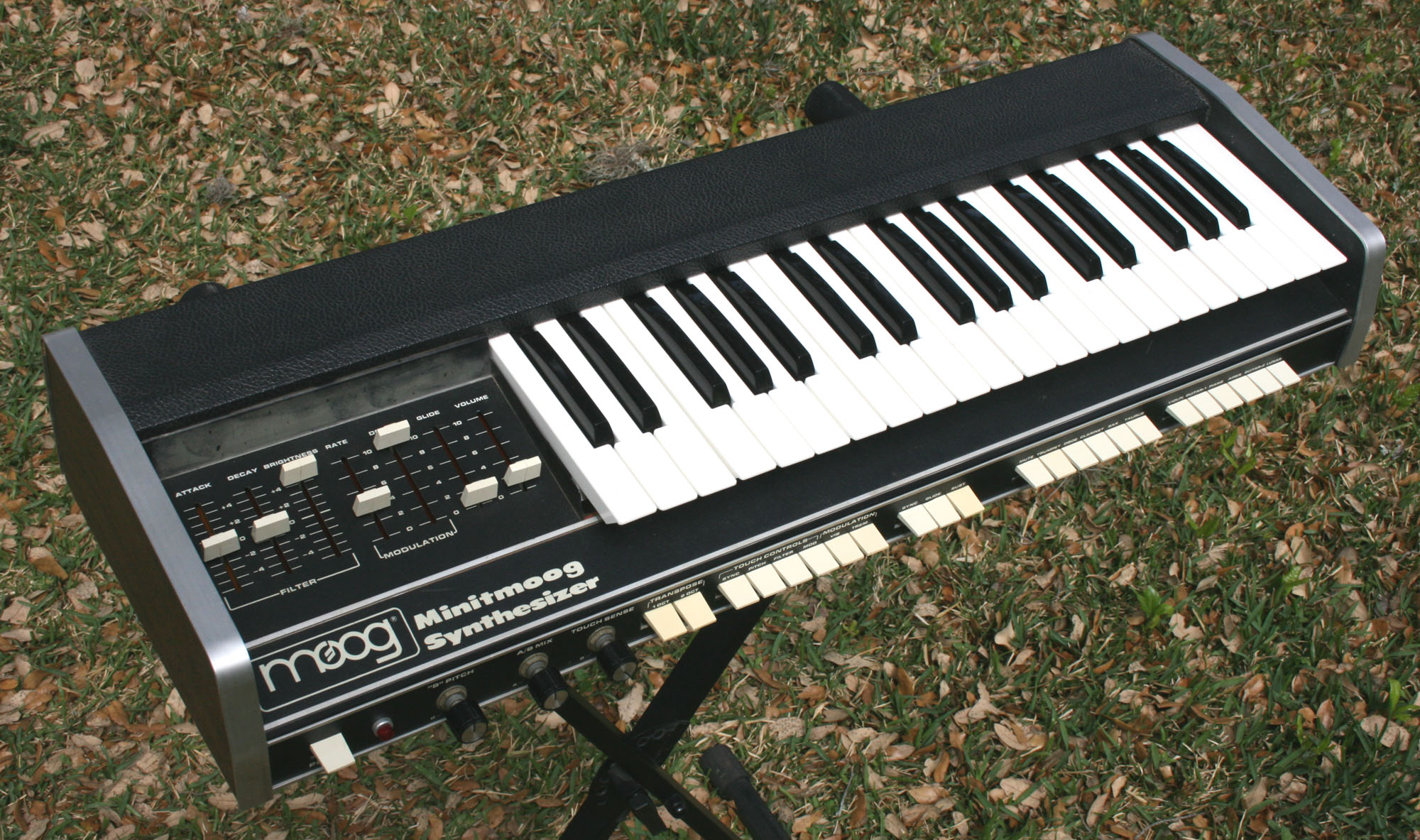 Moog Minitmoog