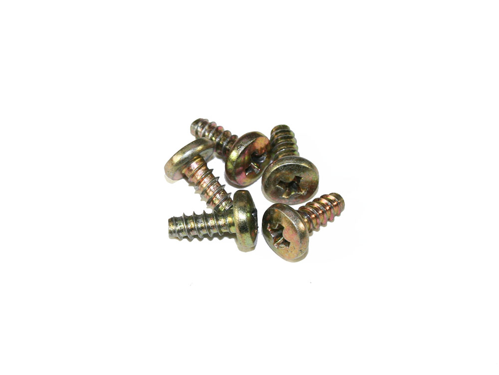 Screws, 10mm, package of 5