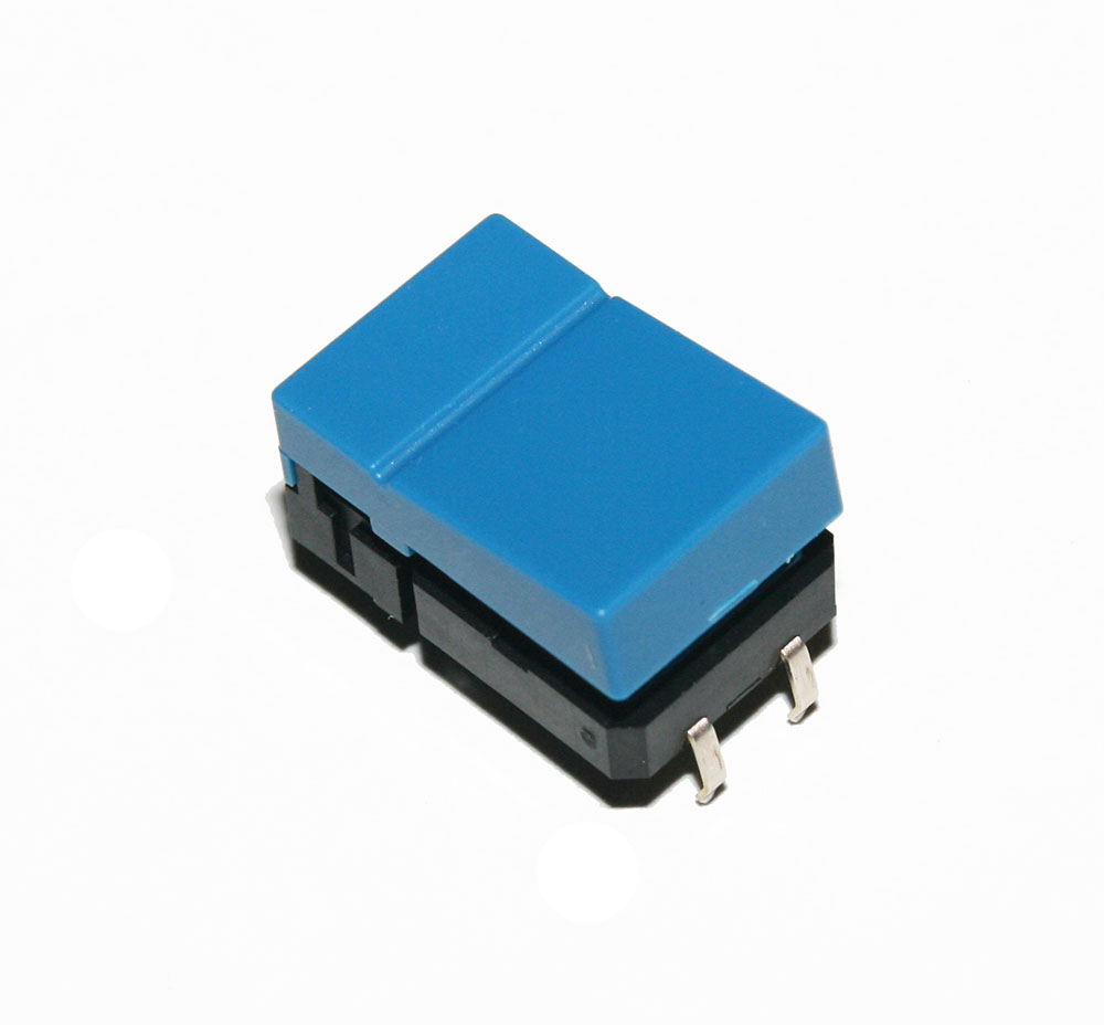 Panel switch, blue