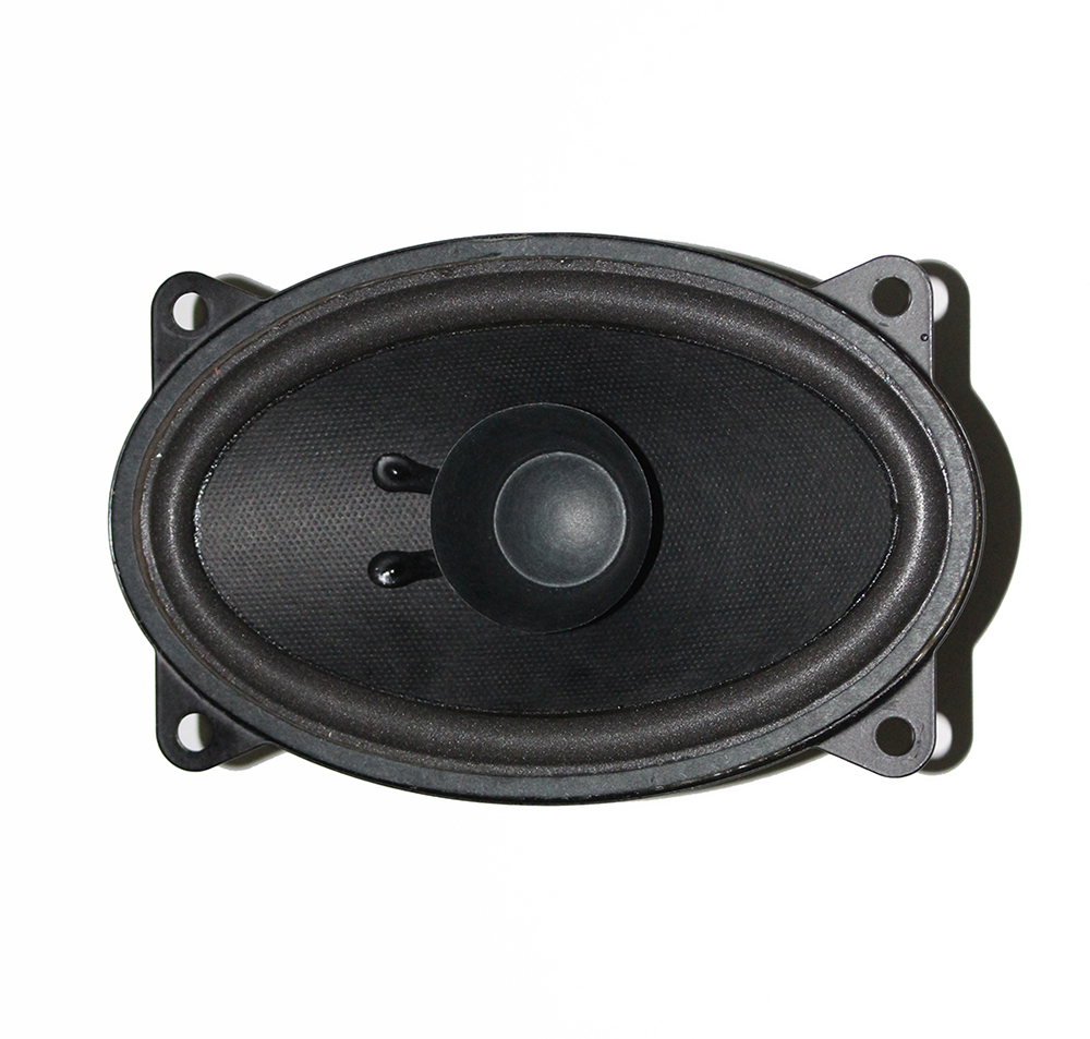 Speaker, Kurzweil