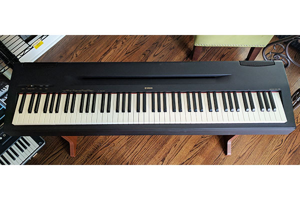 Yamaha P60 Replacement Parts | Syntaur