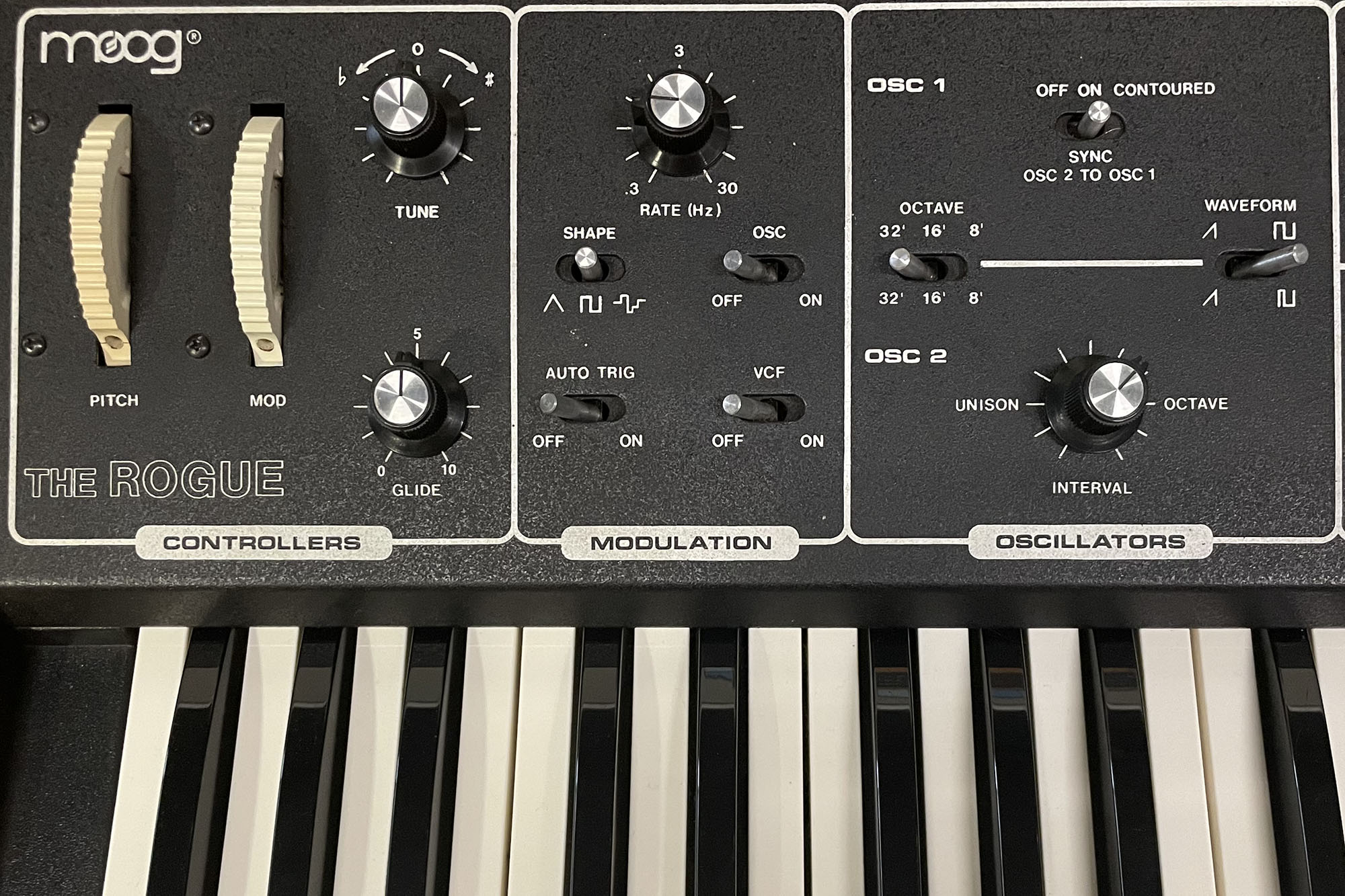 Moog Rogue — view 6